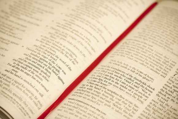 bible blur book catholic